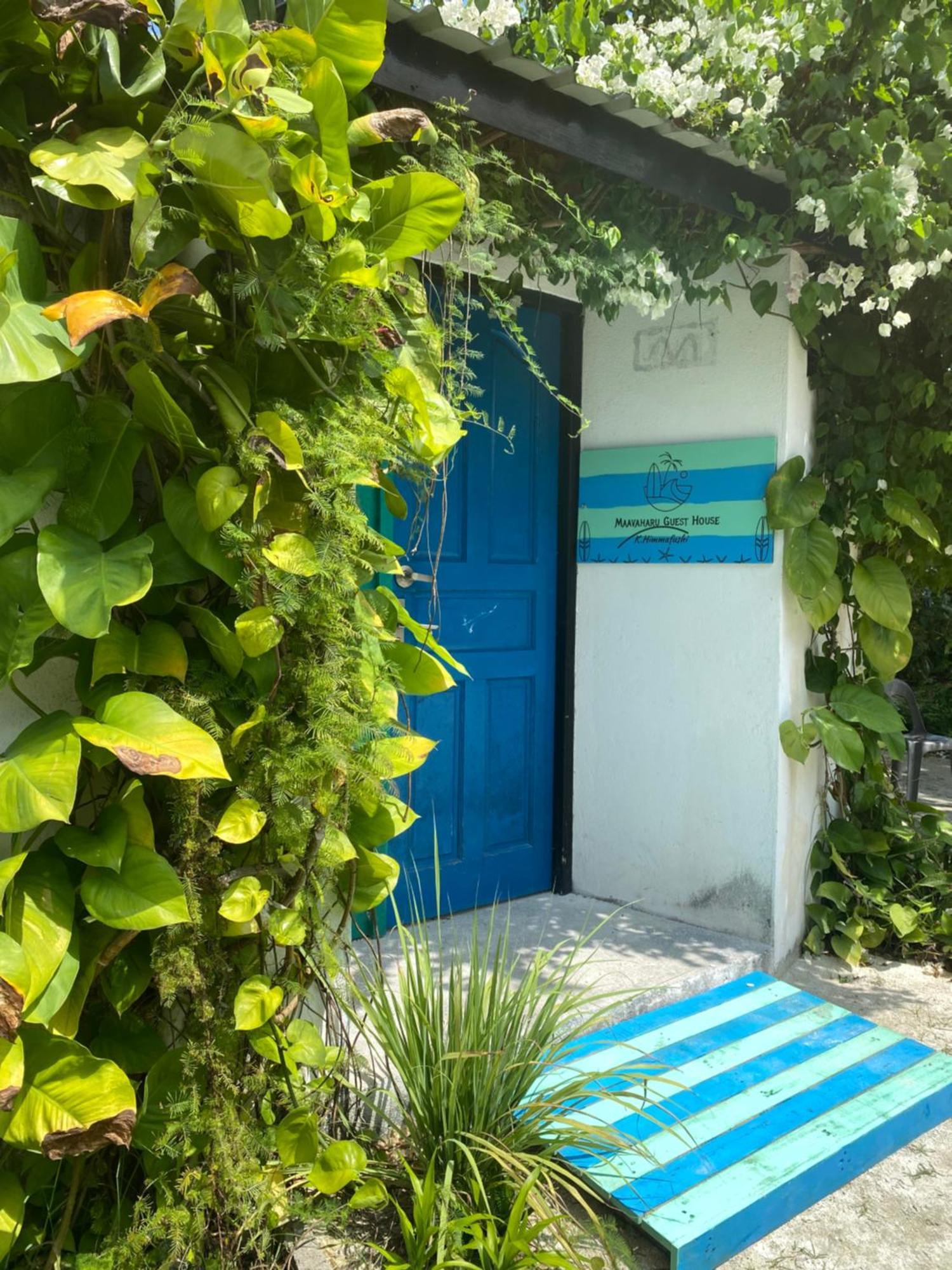 Maavaharu Guest House 힘마푸시 외부 사진