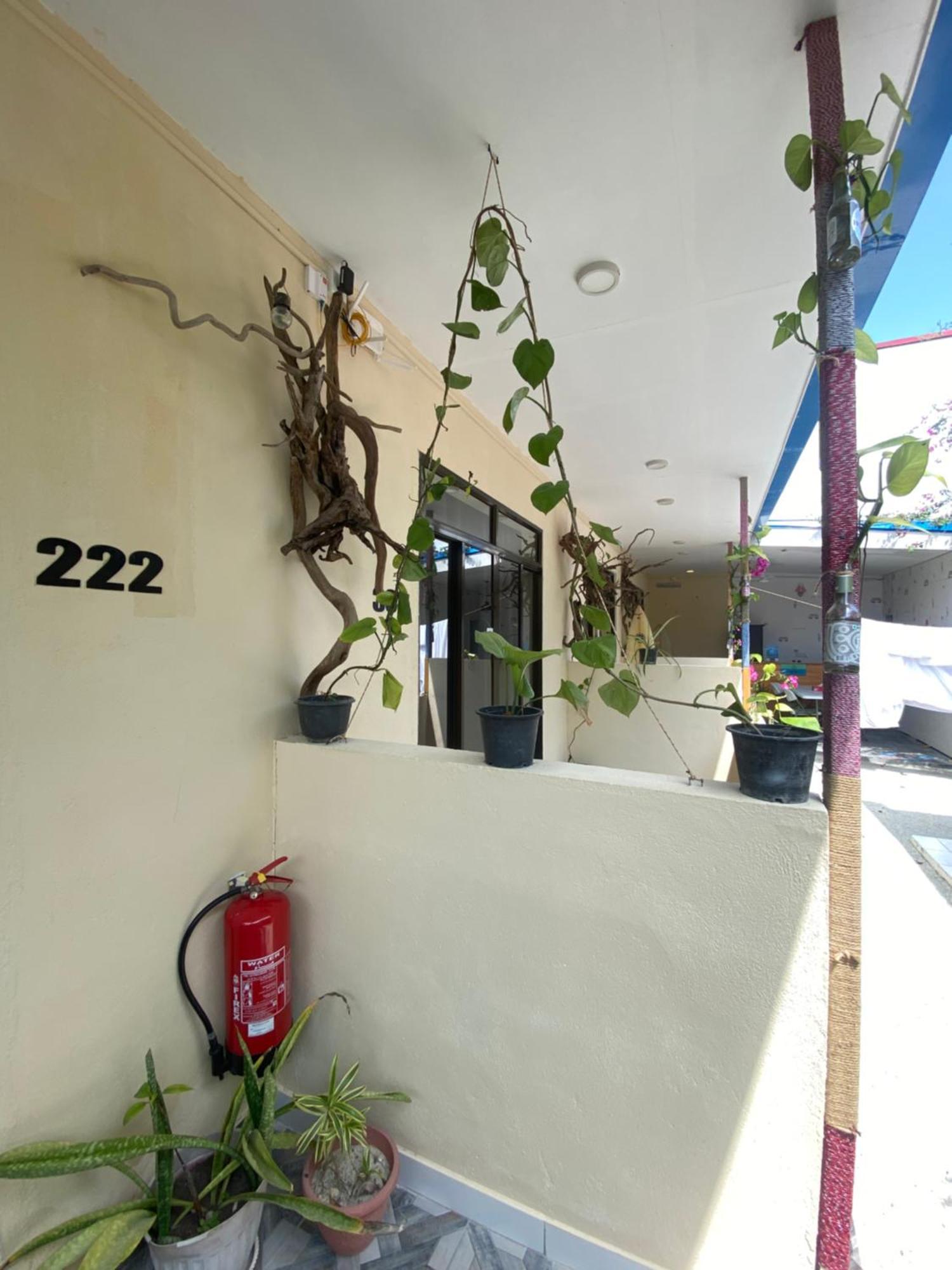Maavaharu Guest House 힘마푸시 외부 사진