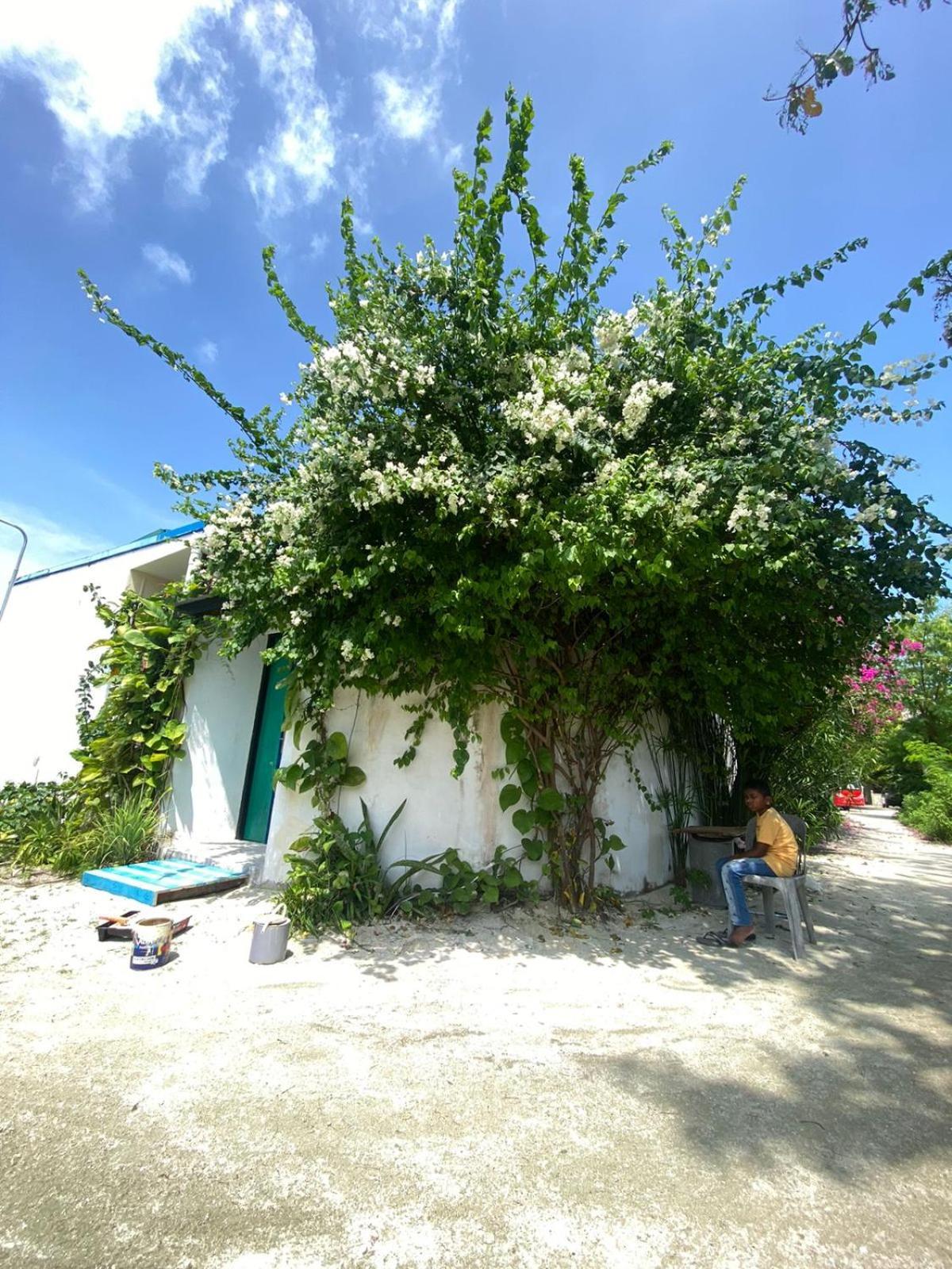 Maavaharu Guest House 힘마푸시 외부 사진